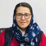 آپارتاید جنسیتی آپارتاید جنسیتی