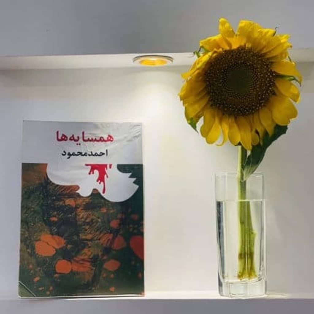 در حال حاضر در حال تماشای این مورد هستید «ظلم از جهل تغذیه میکند»؛ روایتی از ممنوعیت کتابها در افغانستان